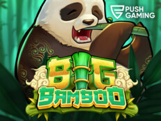 Casino bingo games56